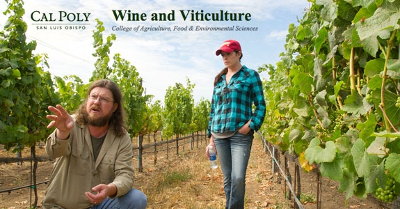 Cal-Poly-Wine-and-Viticulture-Program
